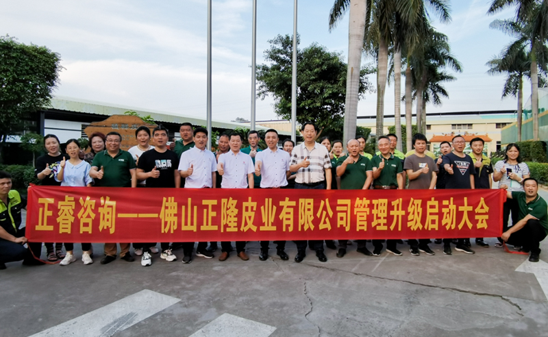 助力皮革行業(yè)再樹(shù)標(biāo)桿——正隆皮業(yè)全面管理升級(jí)項(xiàng)目啟動(dòng)！