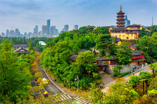 南京管理咨詢機構如何精準把脈企業(yè)管理痛點突破瓶頸？