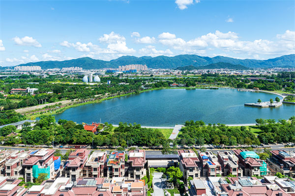 漳州戰(zhàn)略咨詢(xún)公司如何為企業(yè)定制長(zhǎng)遠(yuǎn)發(fā)展藍(lán)圖？