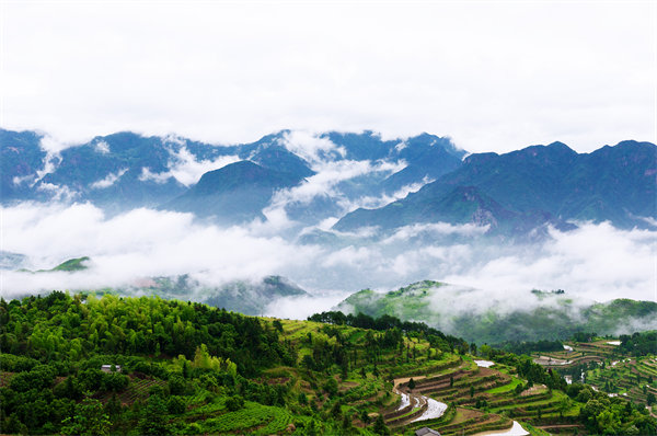 溫州供應(yīng)鏈咨詢公司如何優(yōu)化企業(yè)供應(yīng)鏈流程？