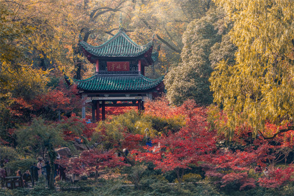 長沙薪酬咨詢公司如何設(shè)計(jì)合理的薪酬結(jié)構(gòu)與體系？