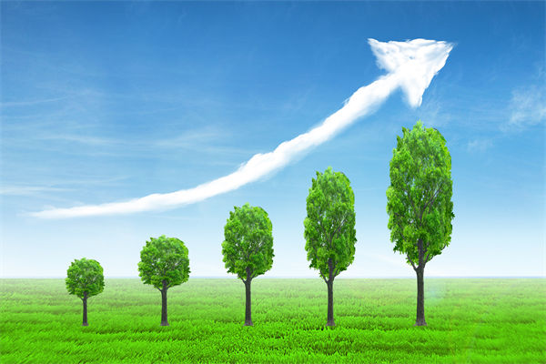 植樹就是植未來，對企業(yè)的戰(zhàn)略規(guī)劃有哪些啟示？