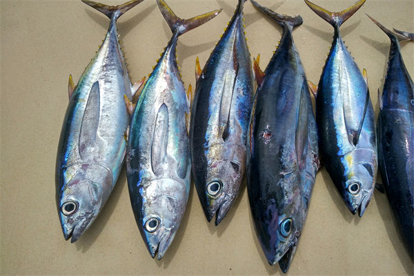 商務(wù)部：將幫助外貿(mào)企業(yè)擴(kuò)寬內(nèi)銷渠道，政策解讀！