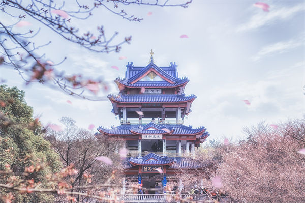 供應(yīng)鏈成本居高不下，無錫供應(yīng)鏈咨詢公司如何精準砍出利潤空間？
