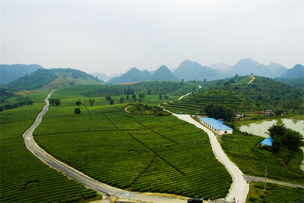 清遠(yuǎn)營(yíng)銷咨詢公司深挖需求，如何為品牌打造直擊消費(fèi)痛點(diǎn)的賣點(diǎn)？