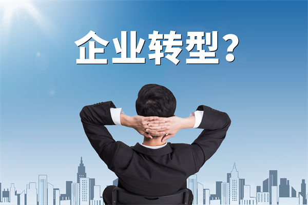 企業(yè)轉(zhuǎn)型無方向，數(shù)智化咨詢公司能否指引明路？