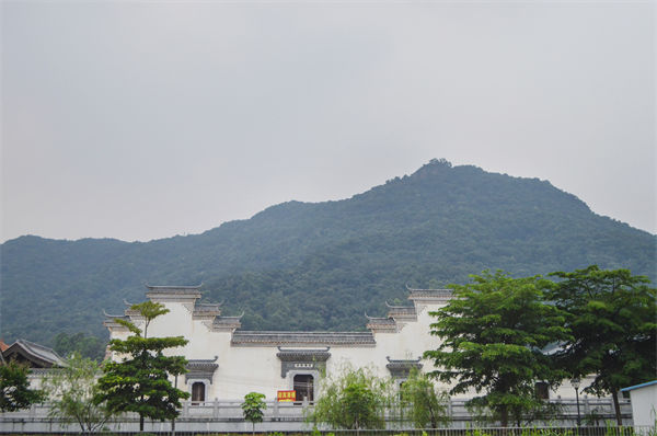 子公司各自為戰(zhàn)內(nèi)耗大，佛山集團(tuán)管控咨詢公司有何整合之道？