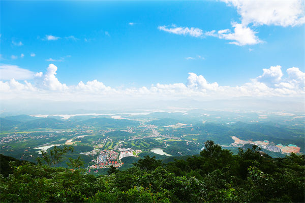 企業(yè)戰(zhàn)略飄在半空落地難，惠州戰(zhàn)略咨詢公司能錨定方向嗎？