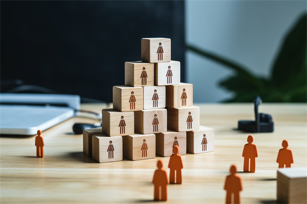 人力資源咨詢公司哪家好，適配企業(yè)戰(zhàn)略搭人才梯隊的