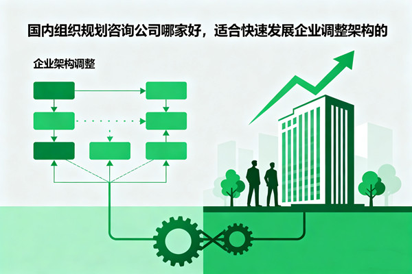 國(guó)內(nèi)組織規(guī)劃咨詢(xún)公司哪家好，適合快速發(fā)展企業(yè)調(diào)整架構(gòu)的