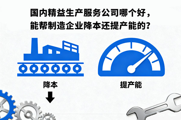 國內(nèi)精益生產(chǎn)服務(wù)公司哪個(gè)好，能幫制造企業(yè)降本還提產(chǎn)能的？
