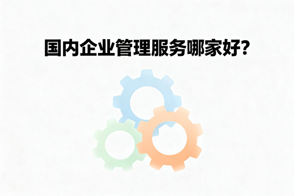 國內(nèi)企業(yè)管理服務哪家好？