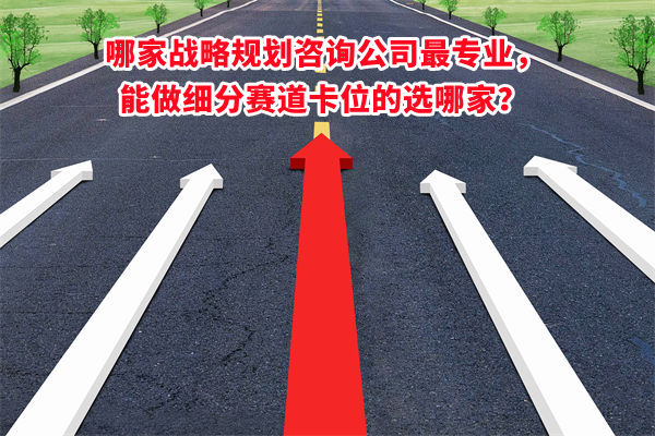 哪家戰(zhàn)略規(guī)劃咨詢公司最專業(yè)，能做細分賽道卡位的選哪家？